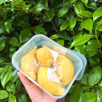 SẦU RIÊNG Monthong