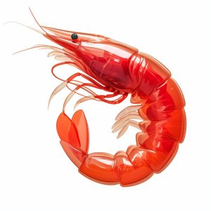 🦐THỦY HẢI SẢN🐟
